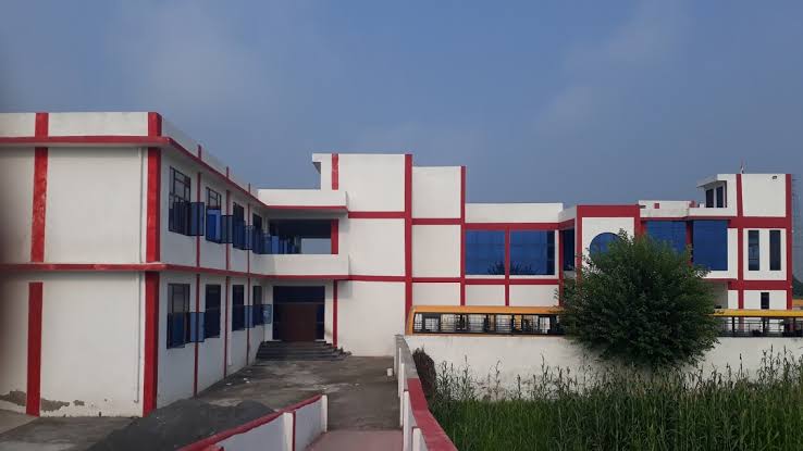 Our School